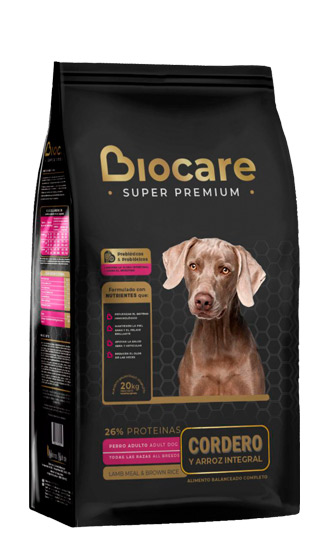 BIO CARE ADULTO X 20KG