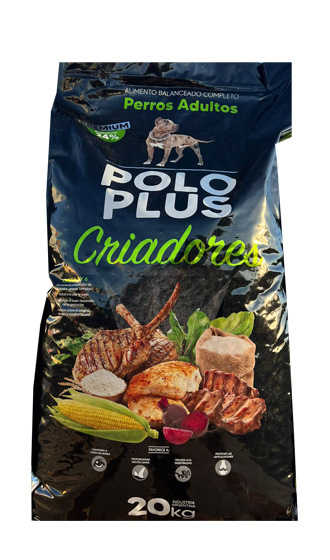 Polo Plus